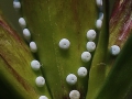 IMG_4227 - kopia.JPG