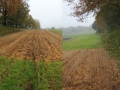 Det finns gränser.jpg