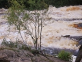 Herting filmning IMG_2553.JPG