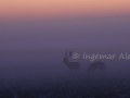 IMG_9785.JPG