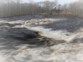 Hertingforsen 2015 184.jpg