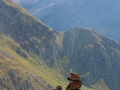 IMG_3766.JPG